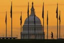The Cruelty of Government Consumption Is Felt By Us All, Now