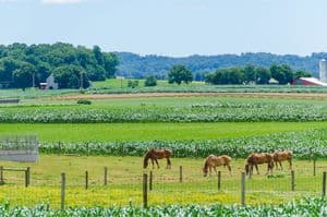 Amish Countryside Drive 2016