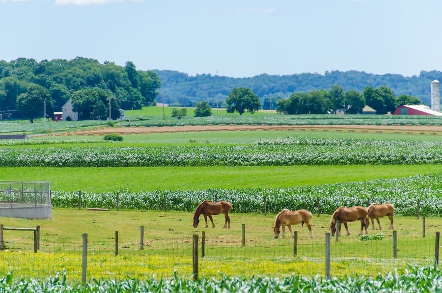 Amish Countryside Drive 2016