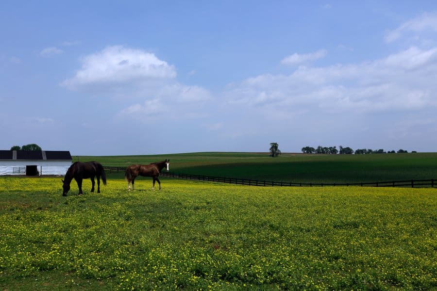 Lancaster County